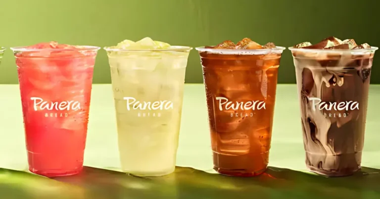 Panera Drink Menu With Prices USA 2024