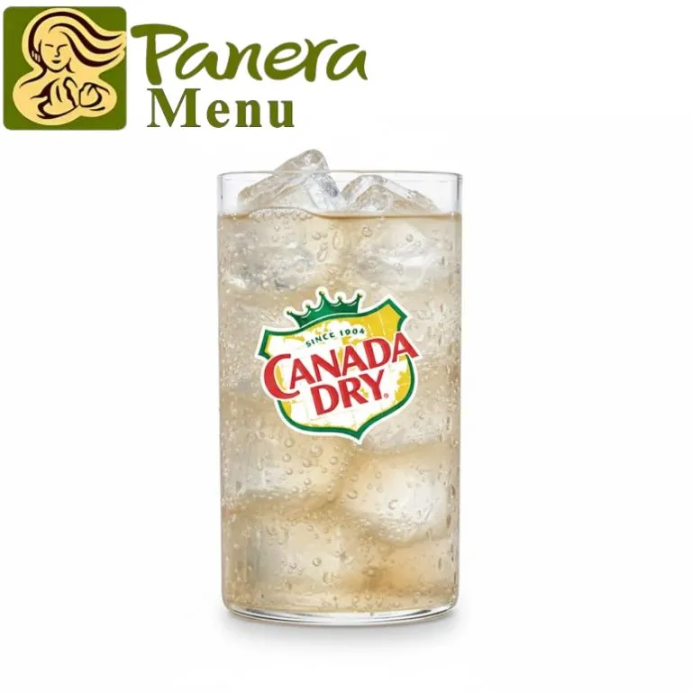 Panera Canada Dry Ginger Ale